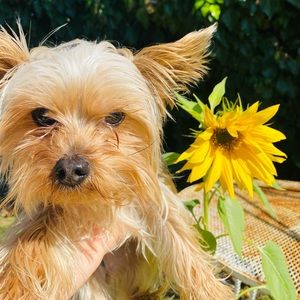 Meet your Posher, Marisa